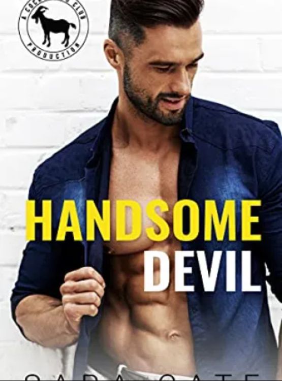 Handsome Devil: A Hero Club Novel