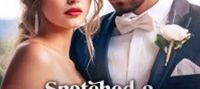 Snatched a Billionaire to be My Husband Novel Full Episode